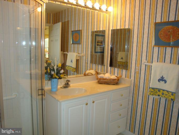 12021 Tralee Road, Unit 201 Lutherville-Timonium, MD 21093 - Photo 22 of 30 a bathroom with a sink and a mirror