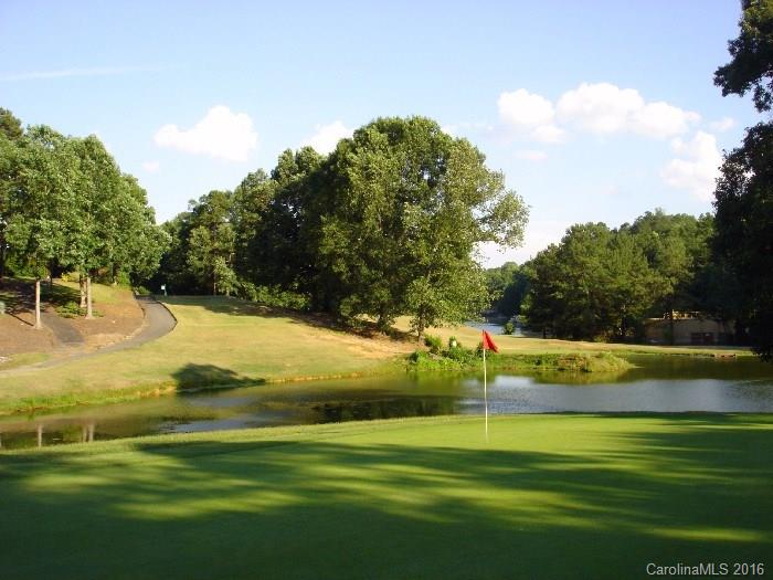 1409 Calum Way, Unit 66 FALKNER A Fort Mill, SC 29708 - Photo 7 of 7 a view of a golf course with a lake view