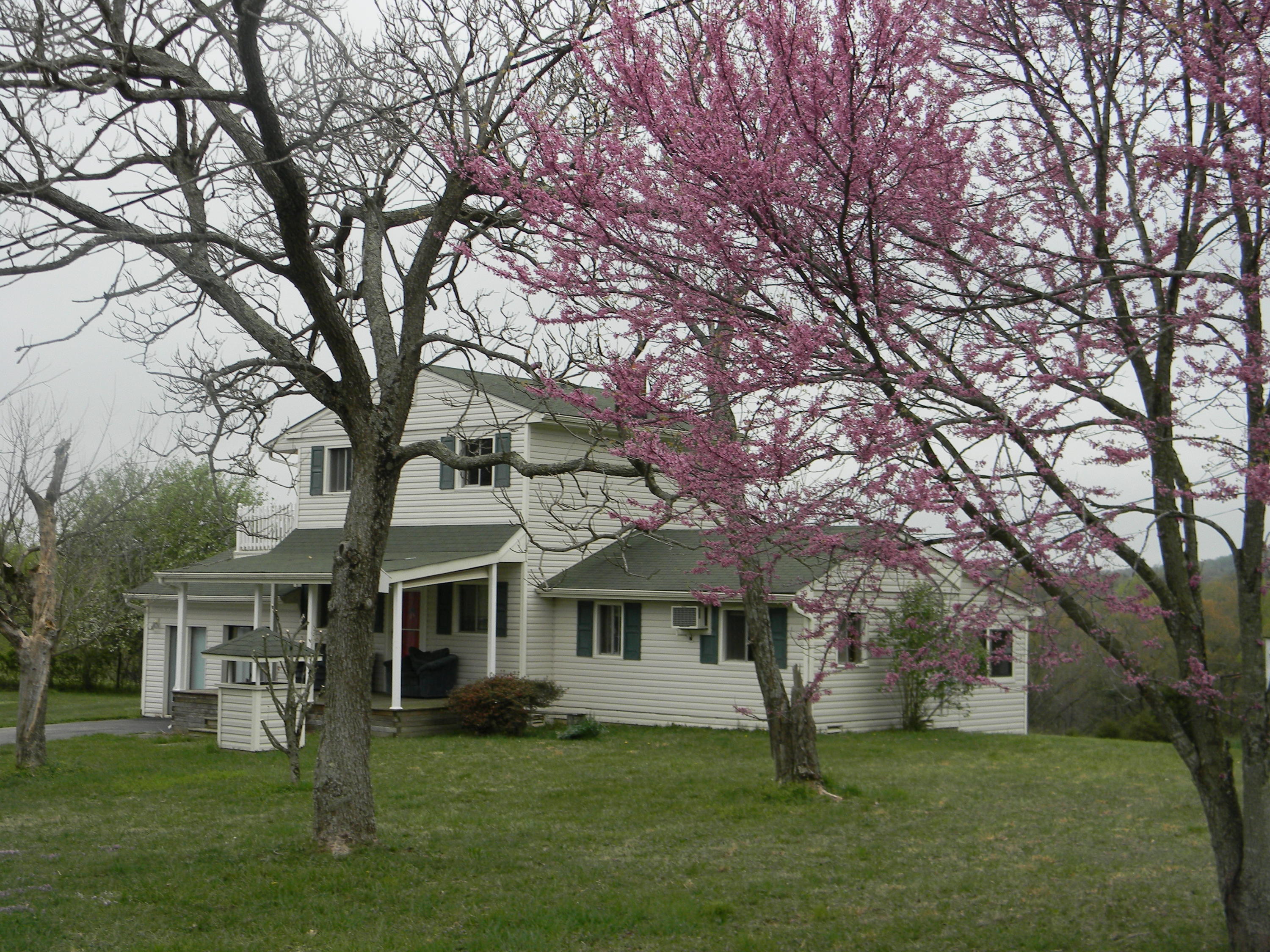 4835 Bonbrook Mill Road Boones Mill, VA 24065 - Photo 1 of 25 Front View