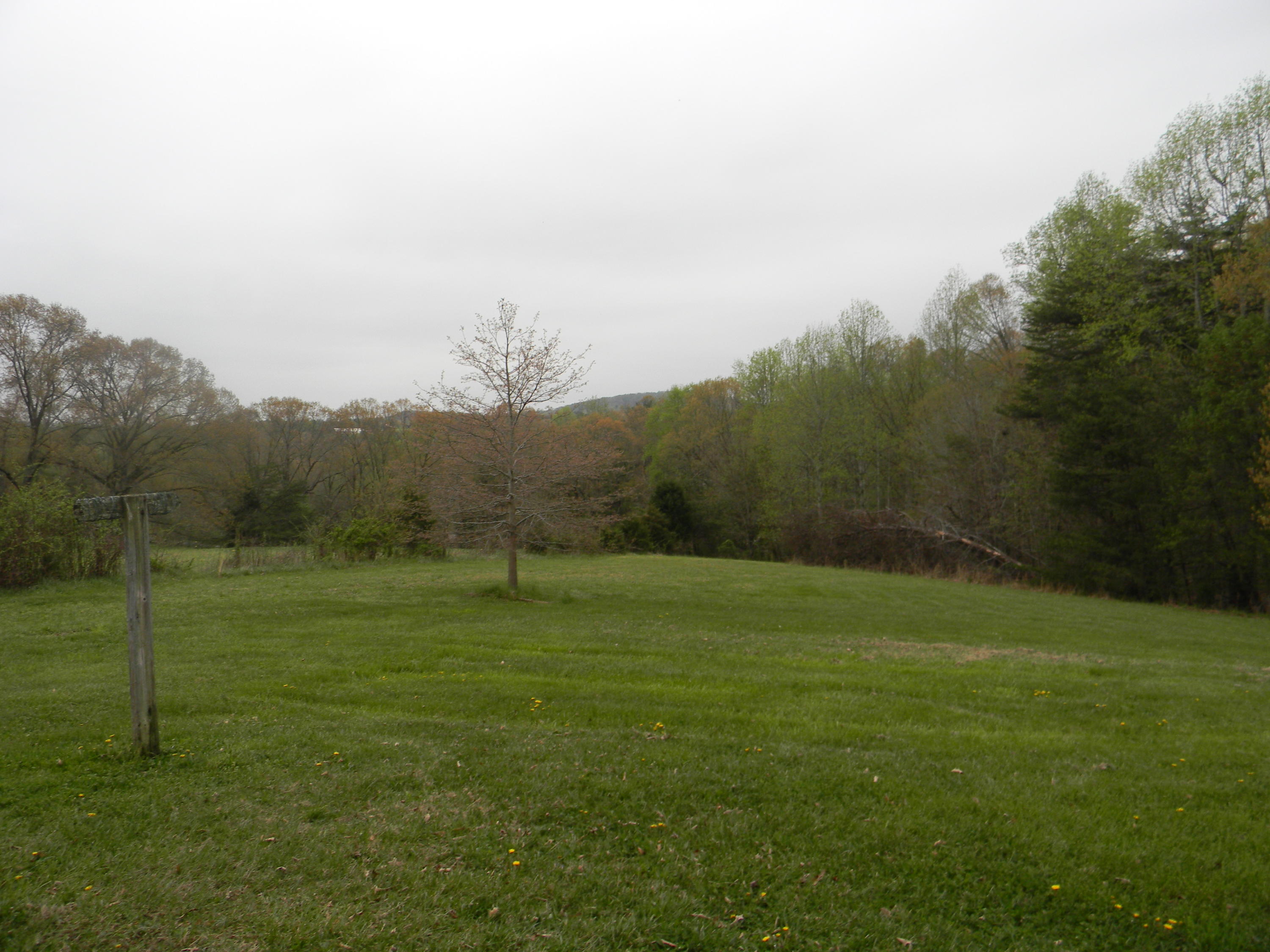 4835 Bonbrook Mill Road Boones Mill, VA 24065 - Photo 17 of 25 Back Yard