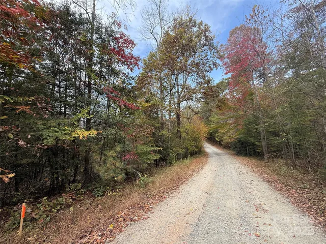 a view of outdoor space and trees