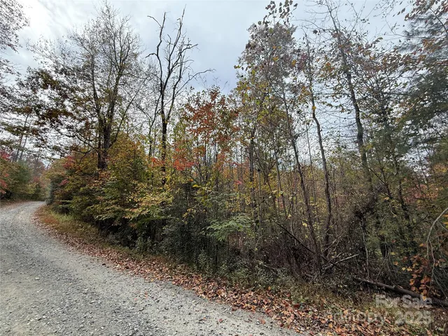 a view of a yard with large trees