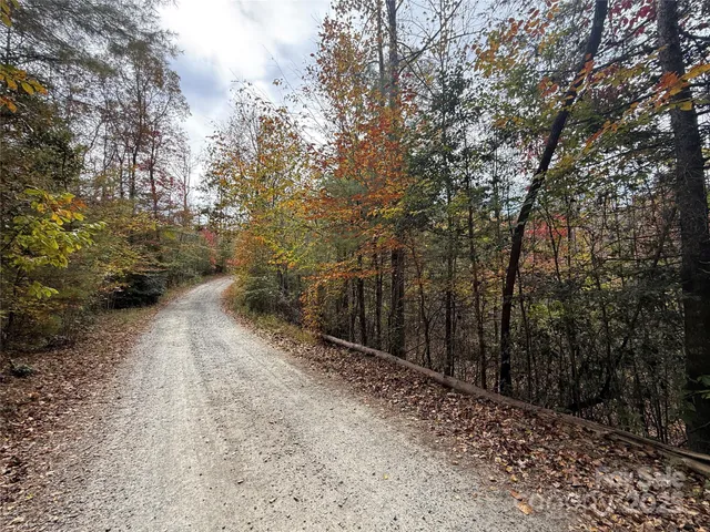 a view of a yard with trees in the background