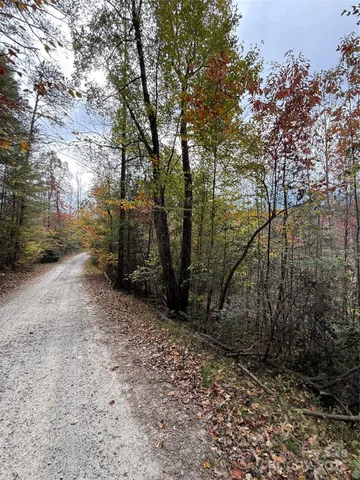 a view of a yard with trees
