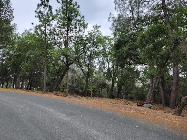 a view of a road with a trees