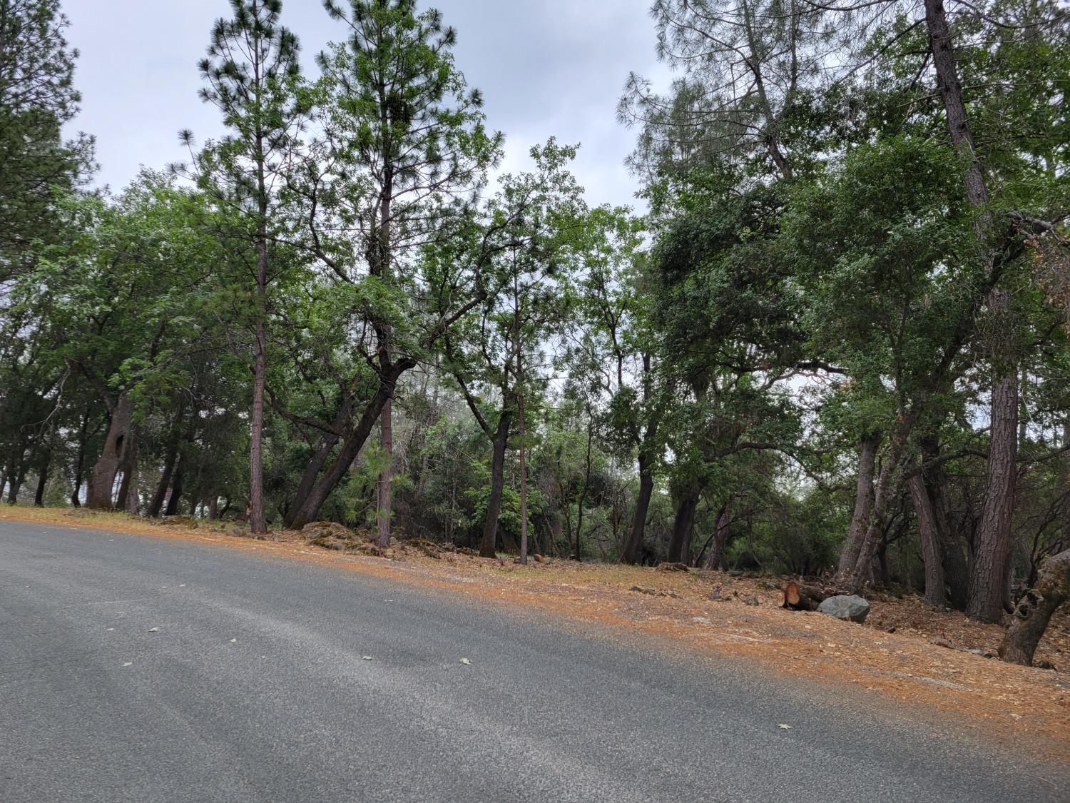 16700 Alice Way Grass Valley, CA 95949 - Photo 11 of 14 a view of a road with a trees