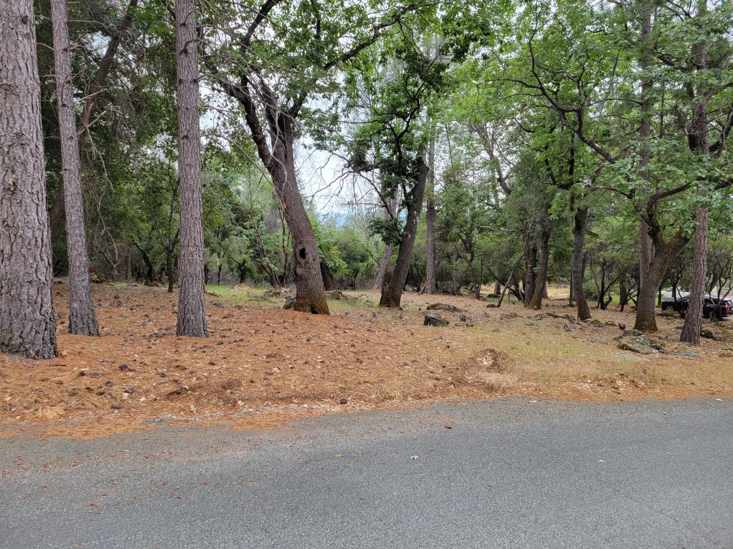 16700 Alice Way Grass Valley, CA 95949 - Photo 12 of 14 a view of road with trees