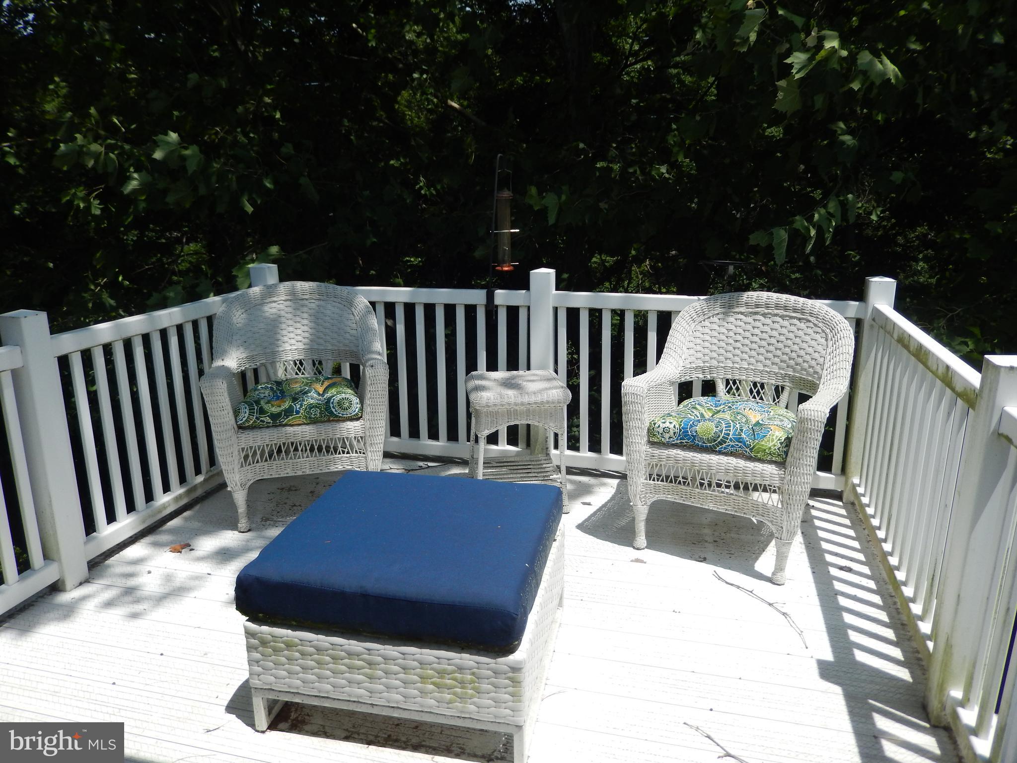 1293 Country Club Drive Springfield, PA 19064 - Photo 19 of 33