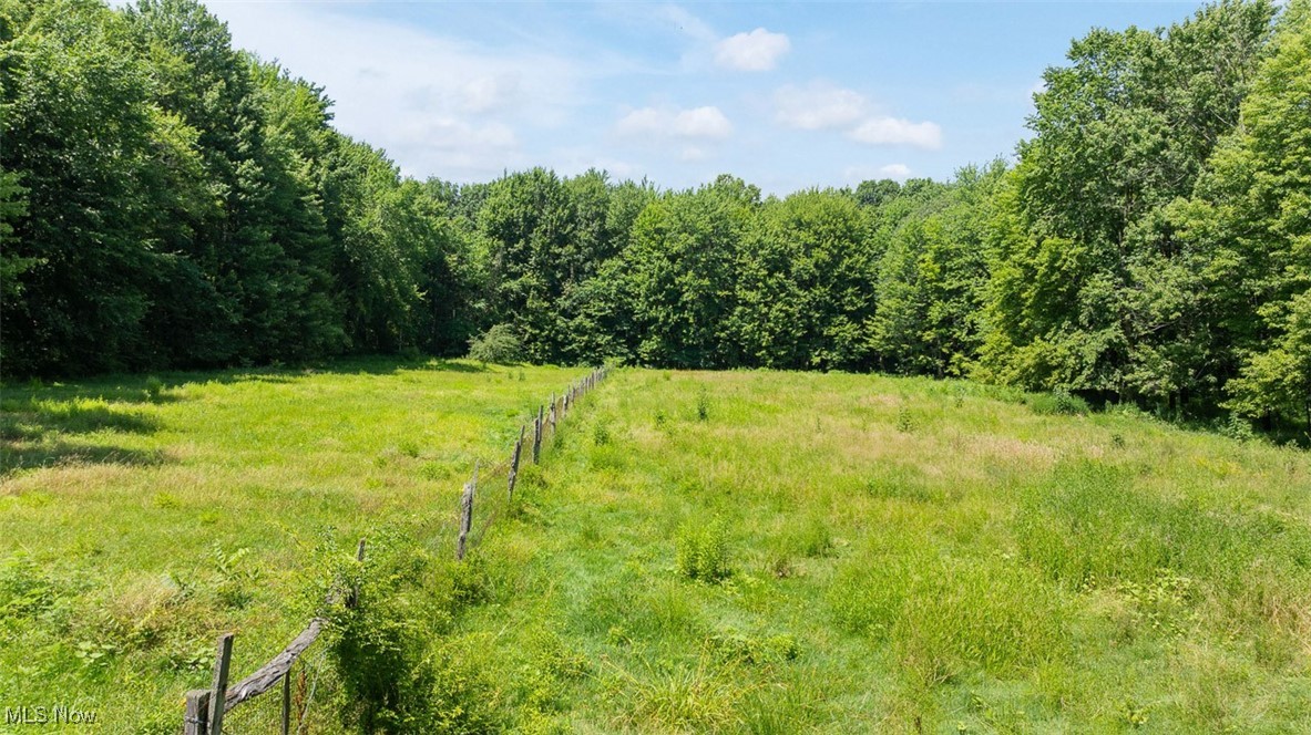 16990 Nash Road Middlefield, OH 44062 - Photo 20 of 45 View of woods