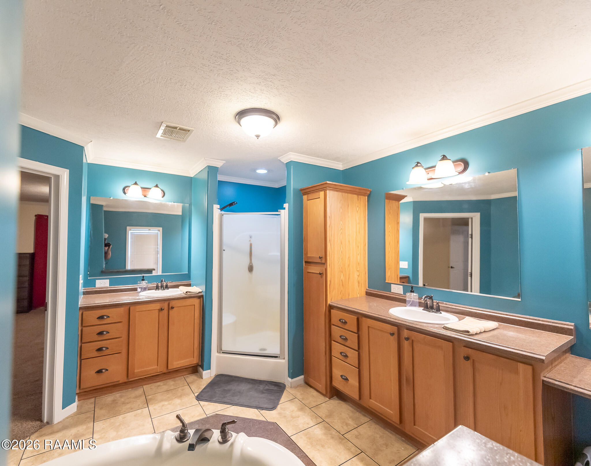 111 Constantine Road Duson, LA 70529 - Photo 21 of 35 Master bathroom