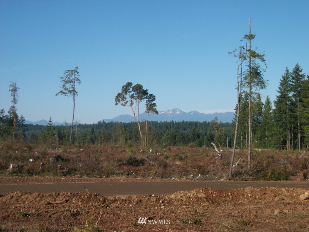 3020 Mason Benson Road East Grapeview, WA 98546 - Photo 1 of 1 Gallery Image 1