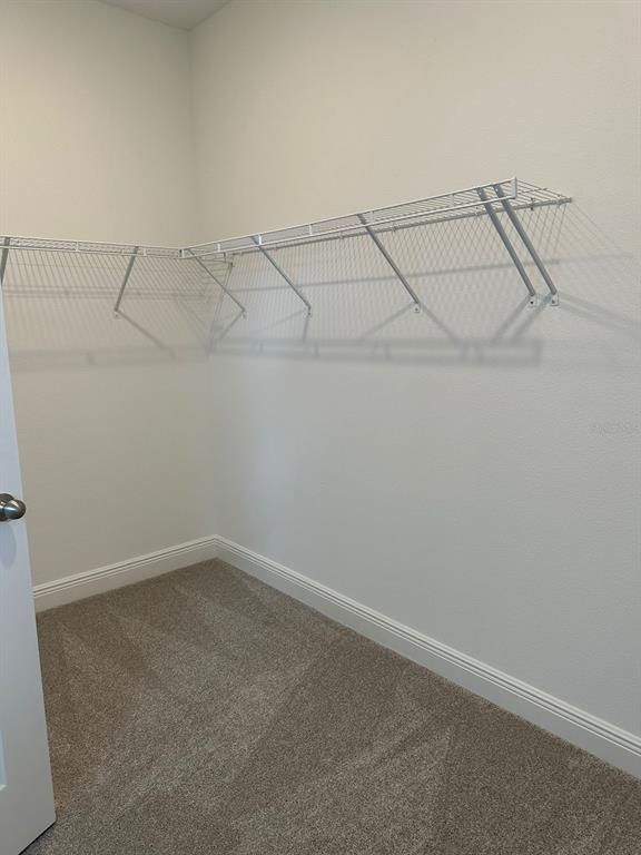 19044 Blueleaf Street Orlando, FL 32827 - Photo 27 of 42 a view of a room with racks on the wall