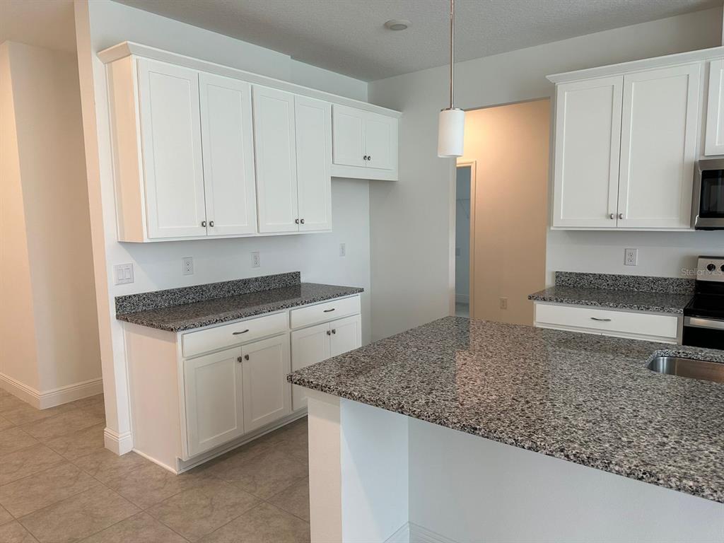 19044 Blueleaf Street Orlando, FL 32827 - Photo 6 of 42 a kitchen with granite countertop cabinets and refrigerator