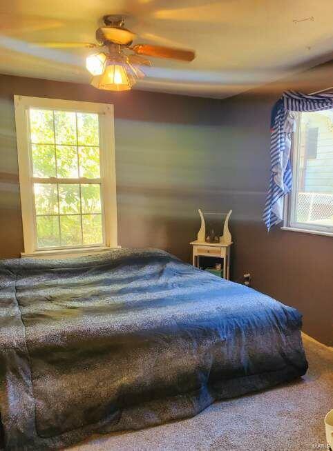 3216 Franor Street Alton, IL 62002 - Photo 8 of 11 Gallery Image 8