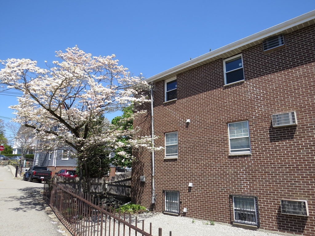 74 Harvard Street Waltham, MA 02453 - Photo 2 of 12