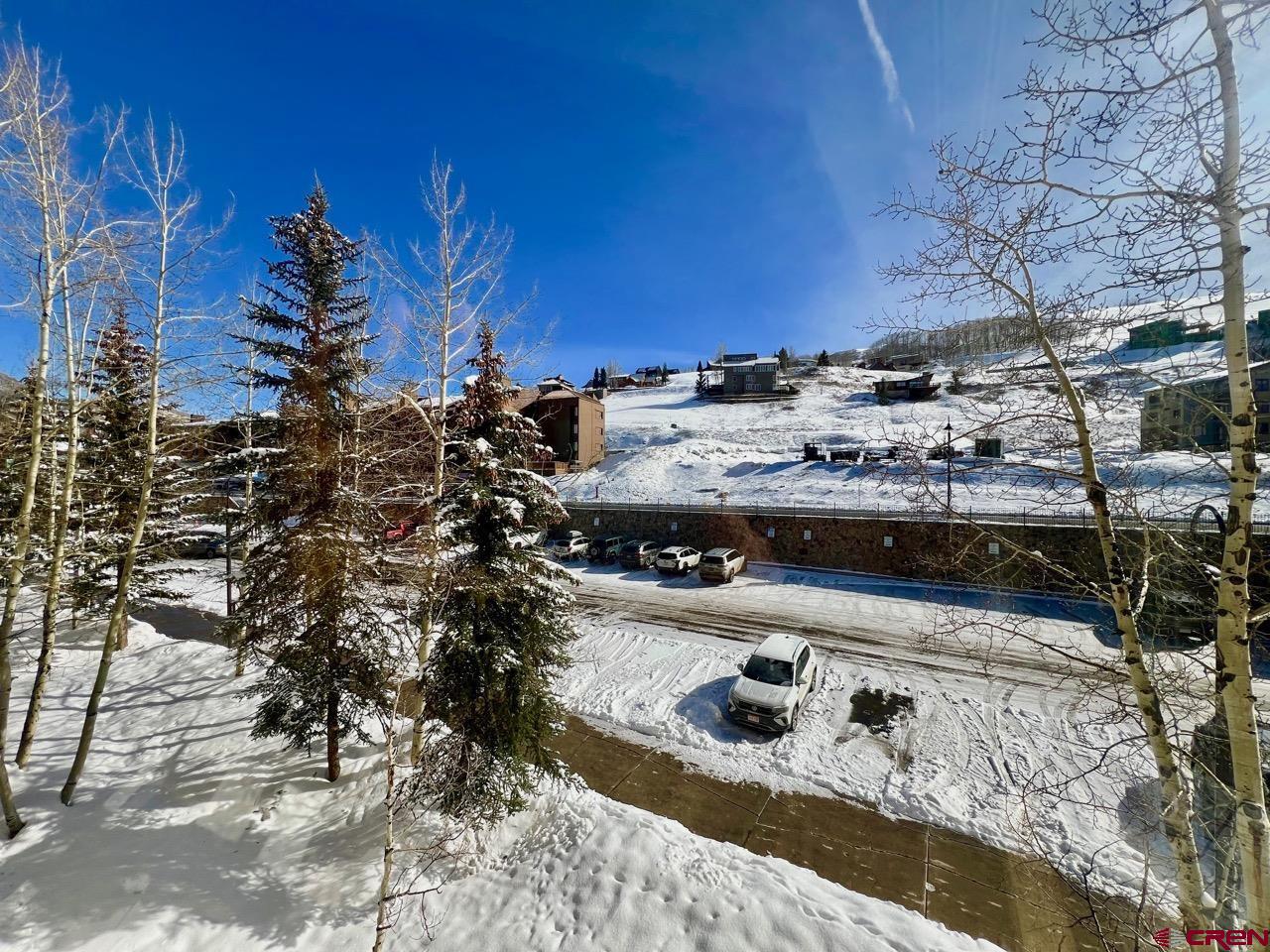 6 Emmons Road, Unit 307 Crested Butte, CO 81225 - Photo 22 of 26 Gallery Image 22