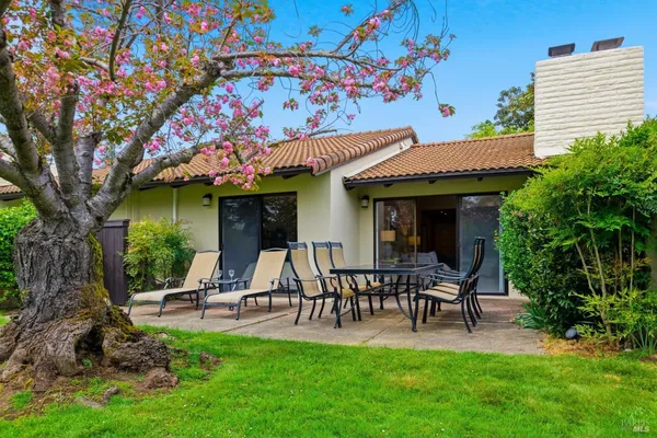 a view of a patio with table and chairs potted plants and large tree