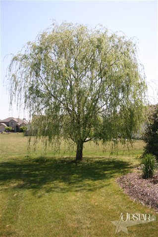 2012 Falconview Place Fort Wayne, IN 46818 - Photo 23 of 24 Gallery Image 23
