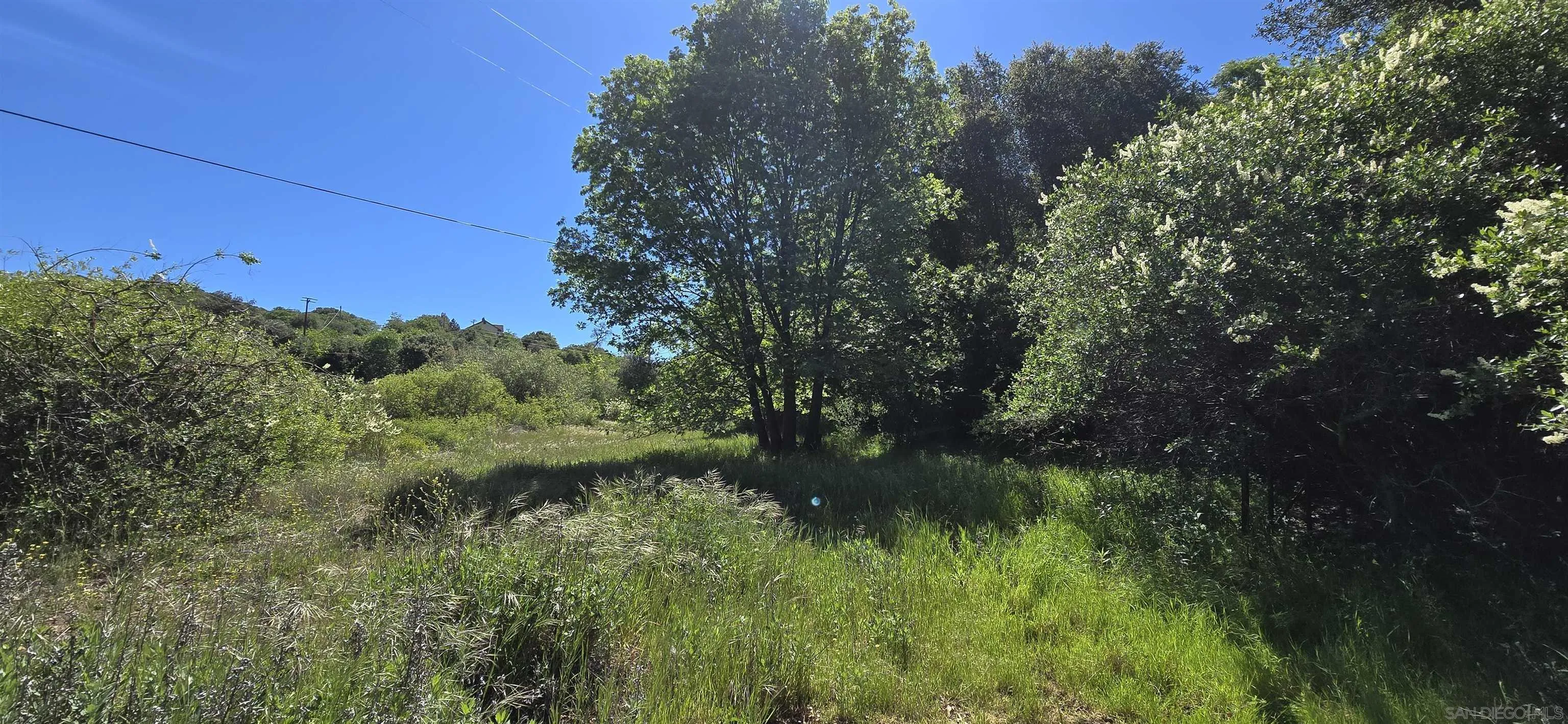 38 Creek Road, Unit 66 13 Julian, CA 92036 - Photo 16 of 16 a view of a garden with a lake