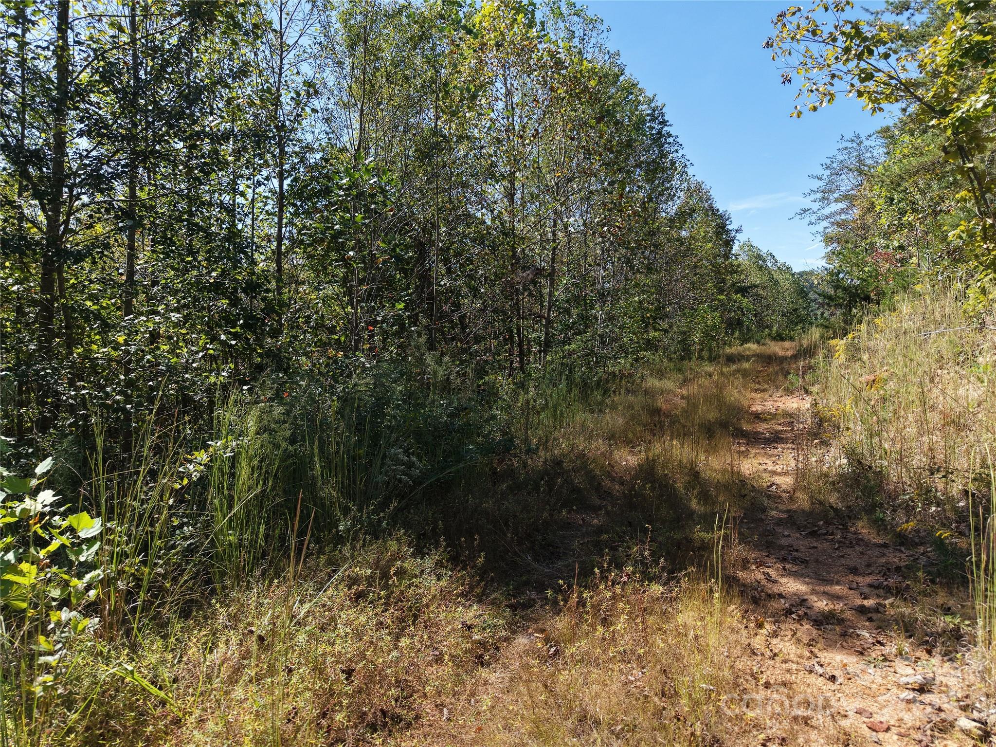Tbd Tbd Ridley Ranch Road, Unit 2 Hiddenite, NC 28636 - Photo 11 of 12 a view of a yard with plants and a bench