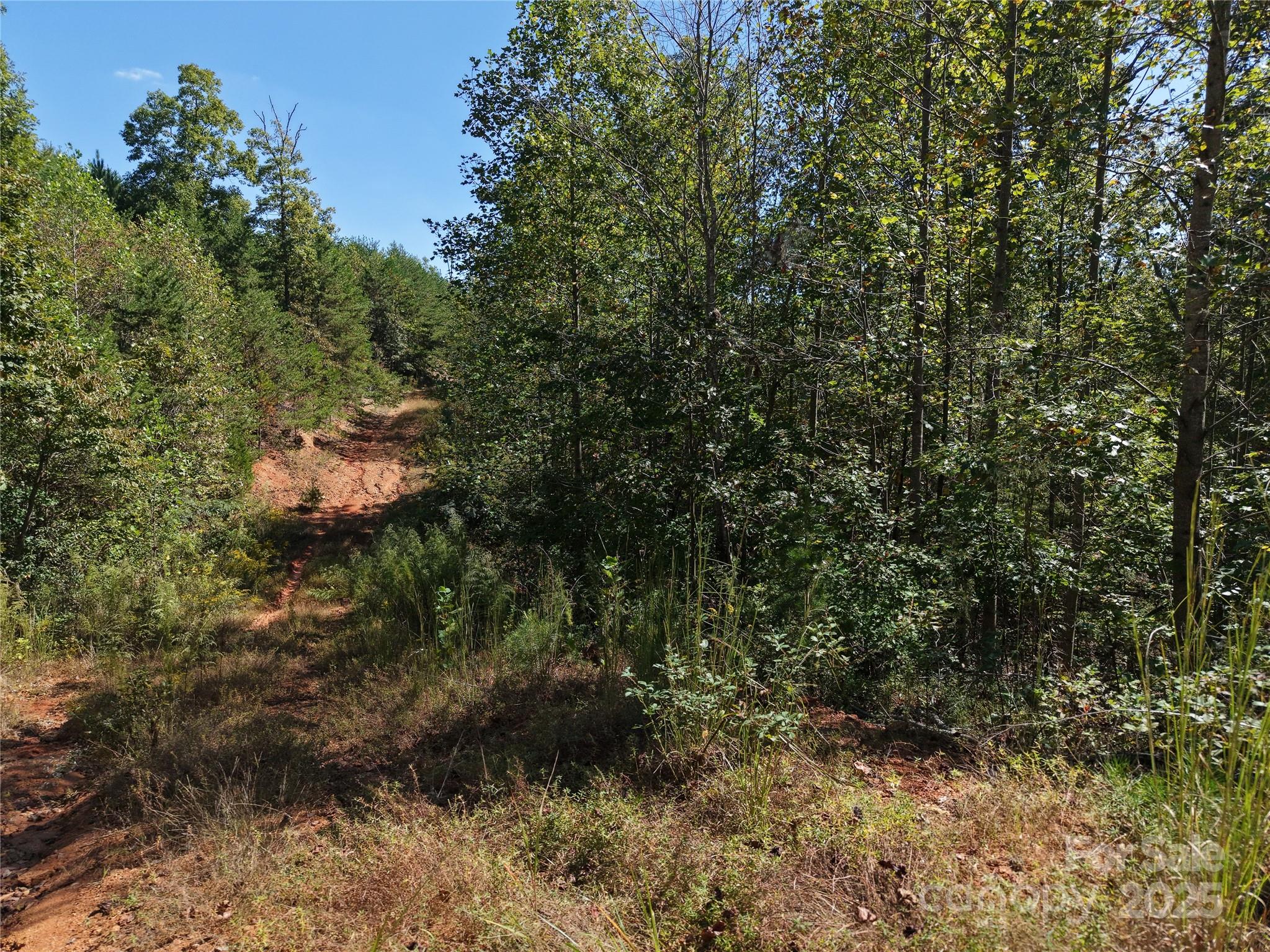 Tbd Tbd Ridley Ranch Road, Unit 2 Hiddenite, NC 28636 - Photo 12 of 12 a view of a forest in a forest