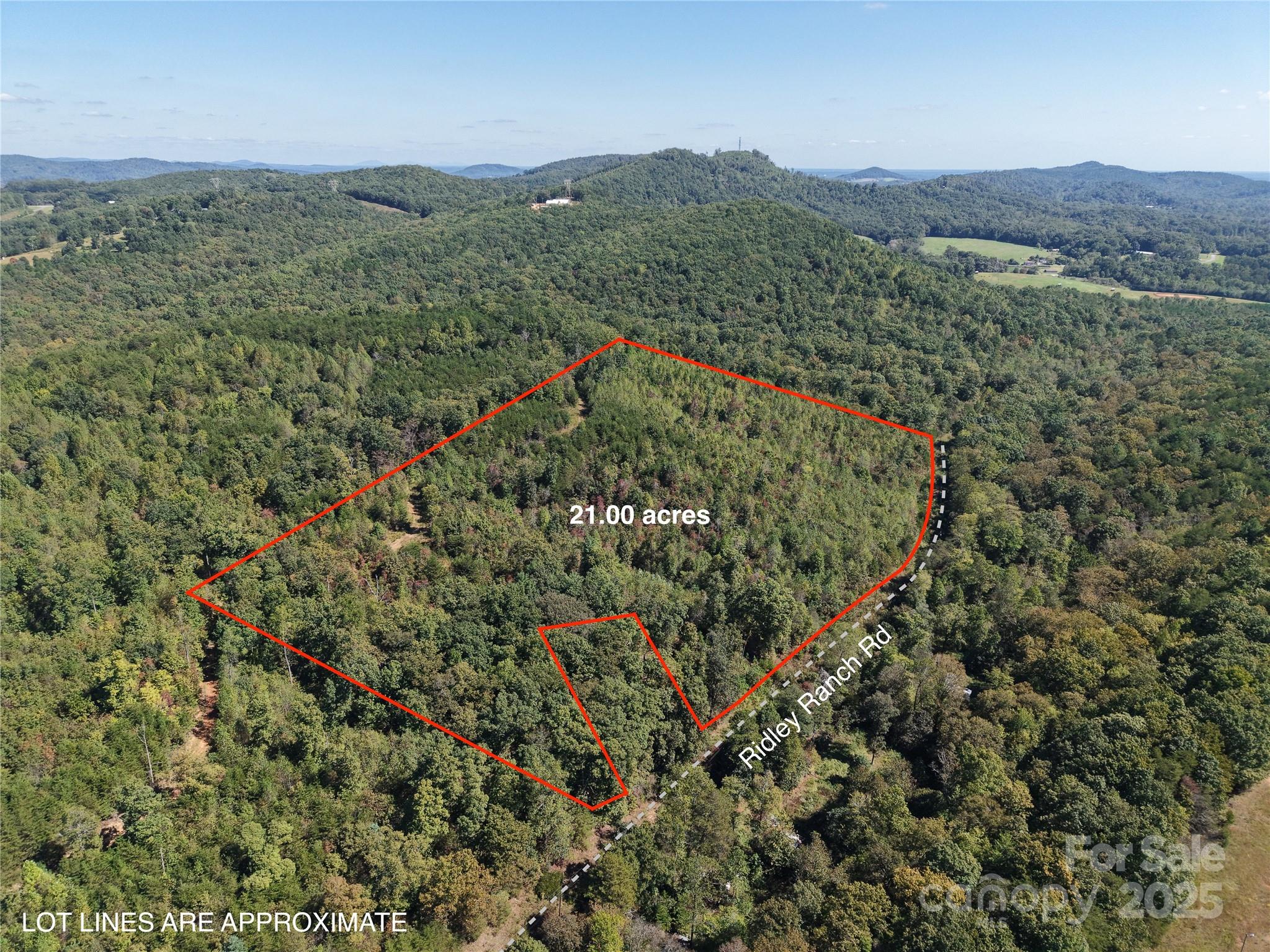 Tbd Tbd Ridley Ranch Road, Unit 2 Hiddenite, NC 28636 - Photo 6 of 12 a view of a forest with a lush green hillside