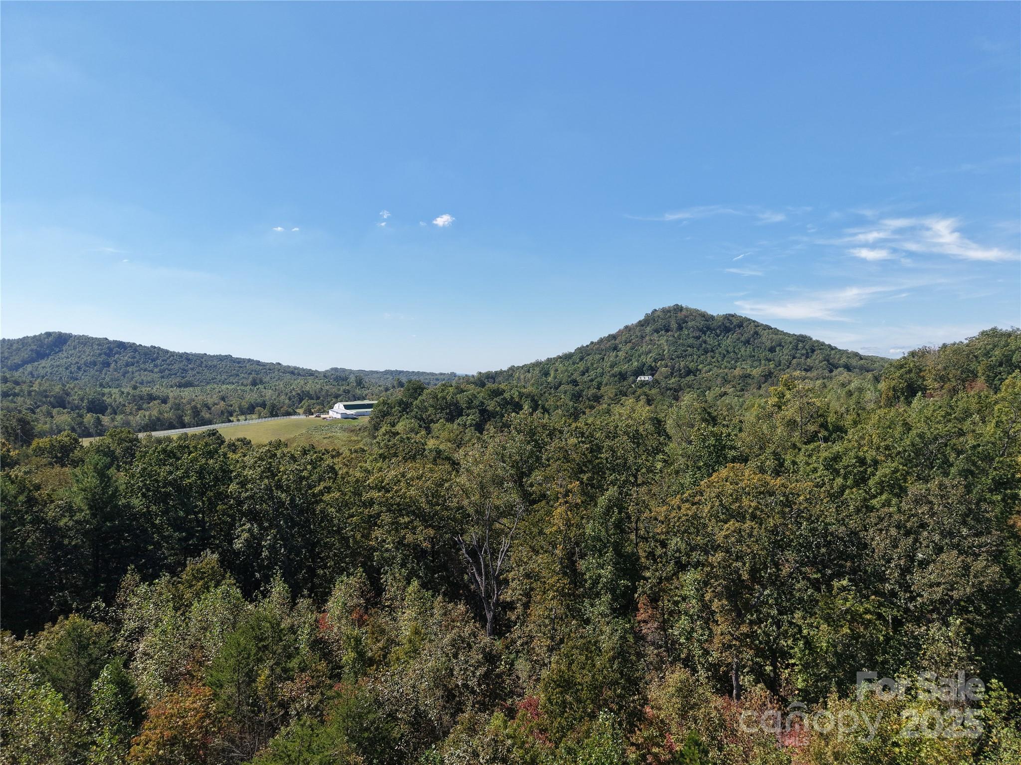 Tbd Tbd Ridley Ranch Road, Unit 2 Hiddenite, NC 28636 - Photo 7 of 12 a view of a lake in middle of the forest
