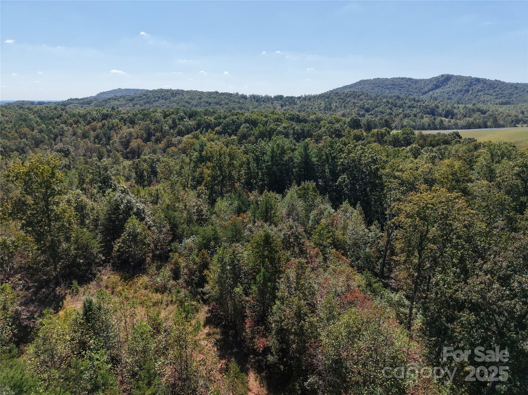 Tbd Tbd Ridley Ranch Road, Unit 2 Hiddenite, NC 28636 - Photo 8 of 12 a view of a mountain range with trees in the background