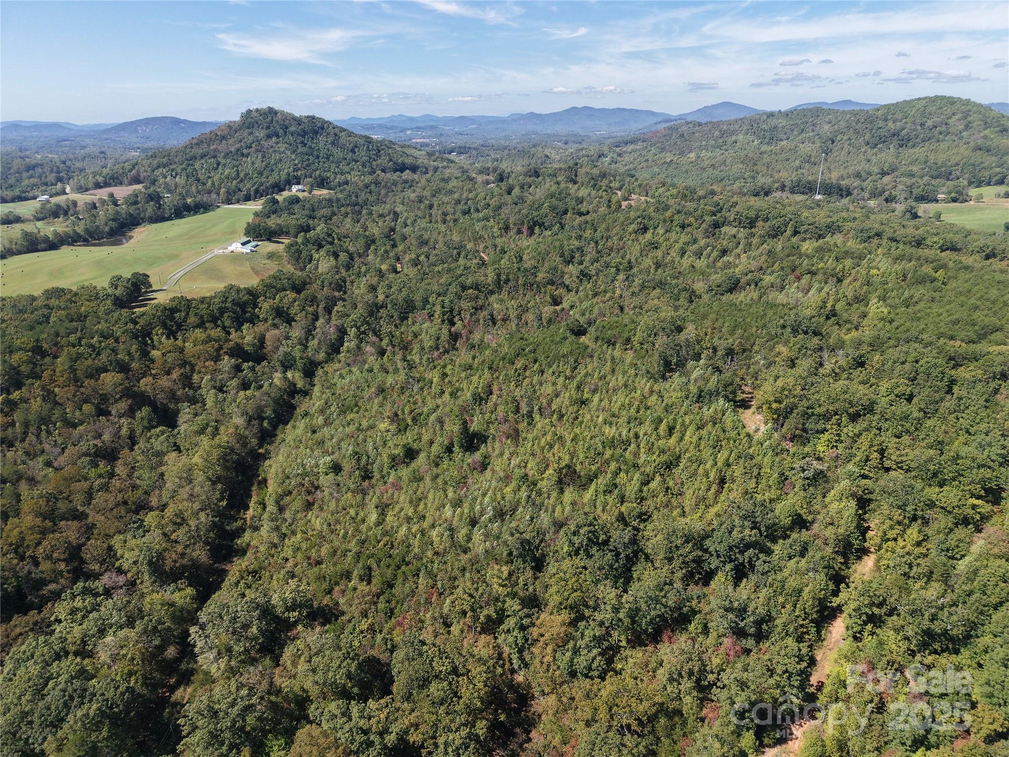 Tbd Tbd Ridley Ranch Road, Unit 2 Hiddenite, NC 28636 - Photo 10 of 12 a view of a lush green hillside and houses