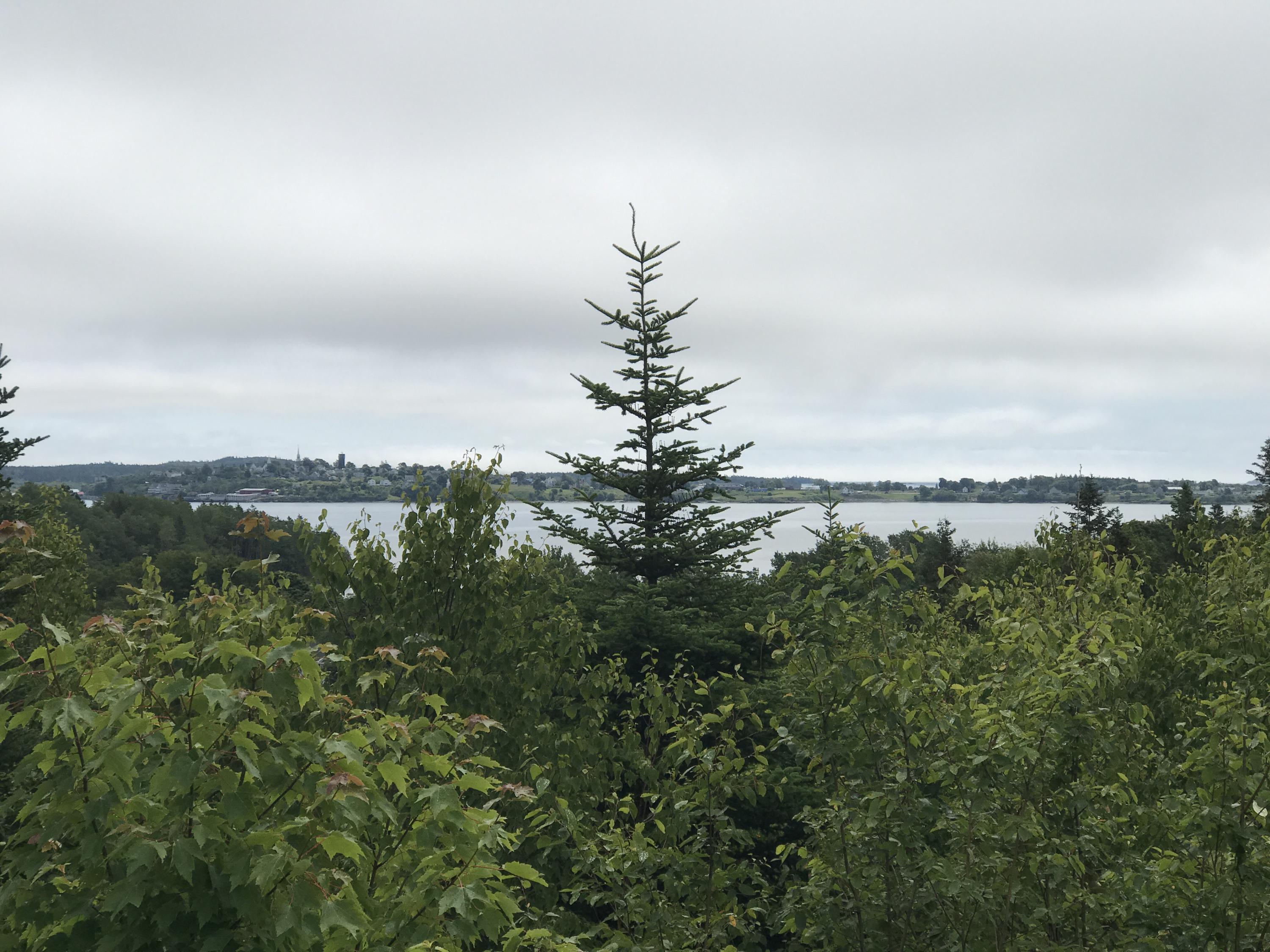 488 North Lubec Road Lubec, ME 04652 - Photo 120 of 120 IMG_1762