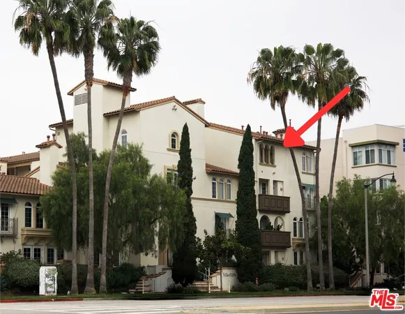 front view of a house with a palm tree