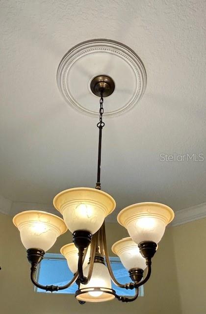 17127 Brown Road Odessa, FL 33556 - Photo 15 of 58