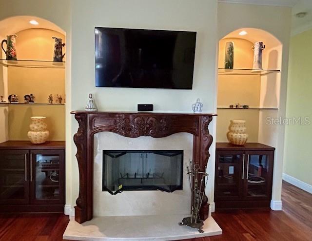 17127 Brown Road Odessa, FL 33556 - Photo 34 of 58 a fireplace with wooden floor
