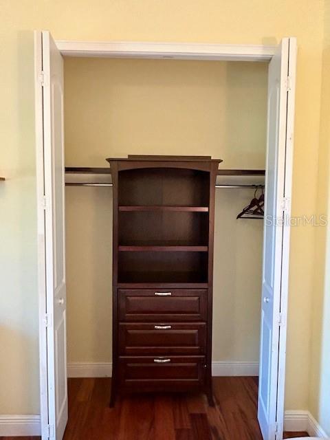 17127 Brown Road Odessa, FL 33556 - Photo 40 of 58 a view of closet area