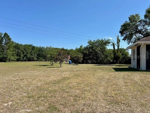 17127 Brown Road Odessa, FL 33556 - Photo 4 of 58 a view of a outdoor space