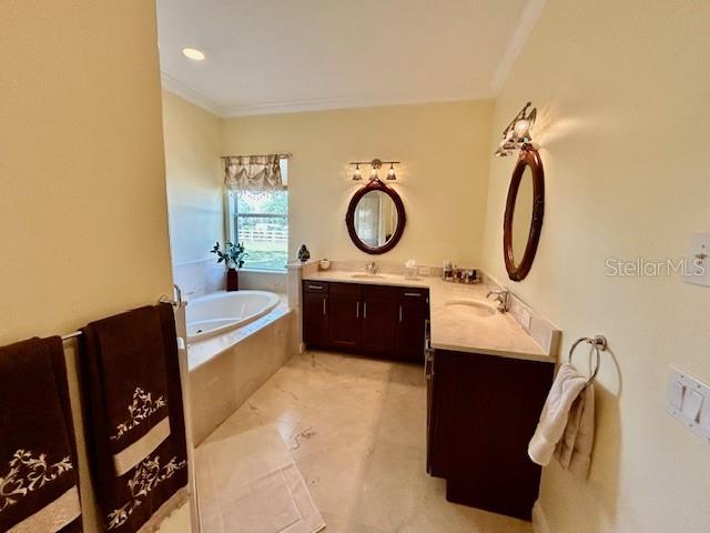 17127 Brown Road Odessa, FL 33556 - Photo 46 of 58 a bathroom with a sink mirror and tub