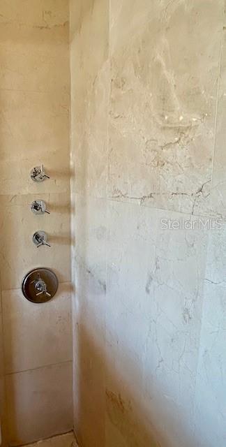 17127 Brown Road Odessa, FL 33556 - Photo 50 of 58 a bathroom with a shower