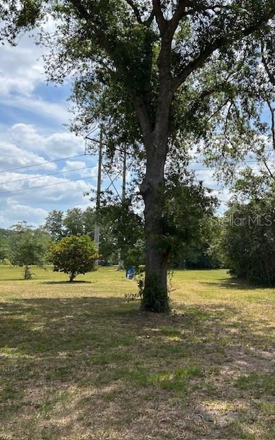 17127 Brown Road Odessa, FL 33556 - Photo 5 of 58 a view of a yard with a tree