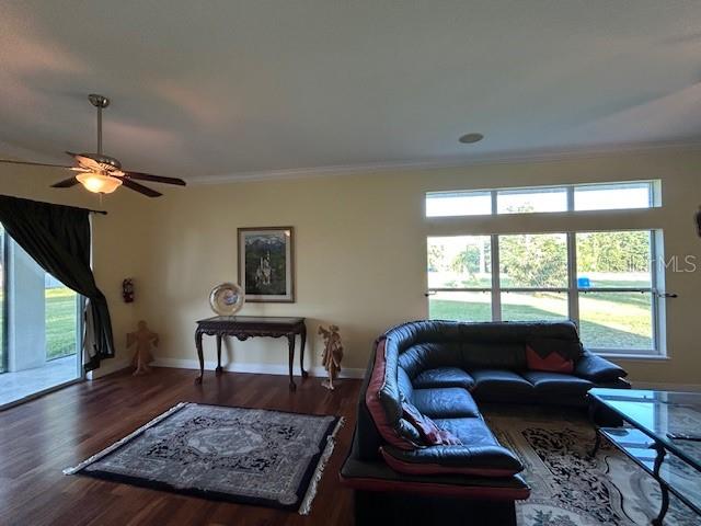 17127 Brown Road Odessa, FL 33556 - Photo 53 of 58 a living room with furniture and a window