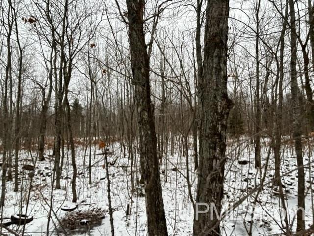 Tbd4 Larson Road Atlantic Mine, MI 49905 - Photo 18 of 41 Gallery Image 18