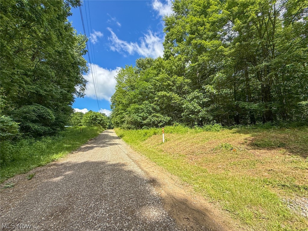 6985 Brush Run Road Cambridge, OH 43725 - Photo 8 of 50