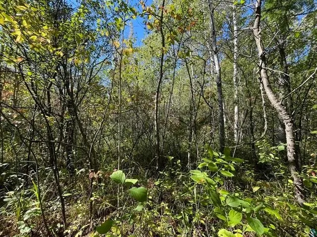 $125,000 | 1-xxx Ellis Avenue South, Ashland, WI 54806