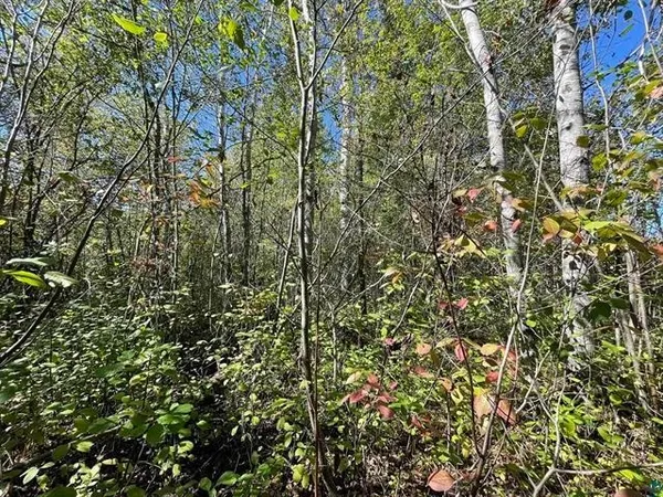 $125,000 | 1-xxx Ellis Avenue South, Ashland, WI 54806