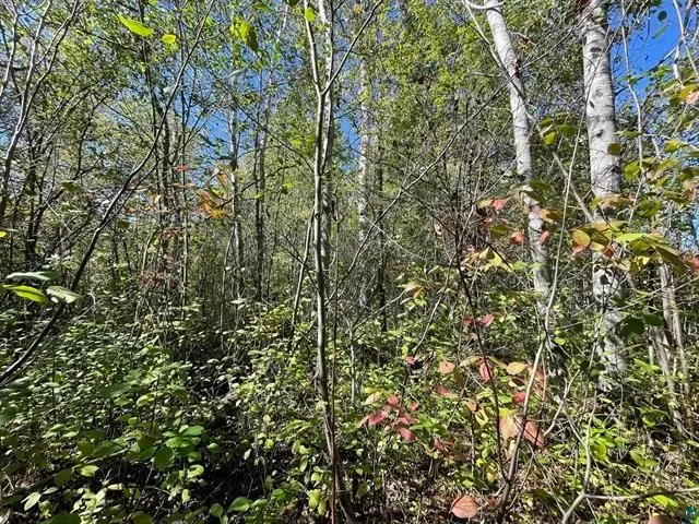 $125,000 | 1-xxx Ellis Avenue South, Ashland, WI 54806