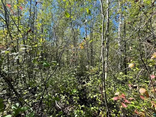 $125,000 | 1-xxx Ellis Avenue South, Ashland, WI 54806