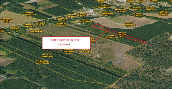 $50,000 | 0 Eddie Lane, Orangeburg, SC 29115