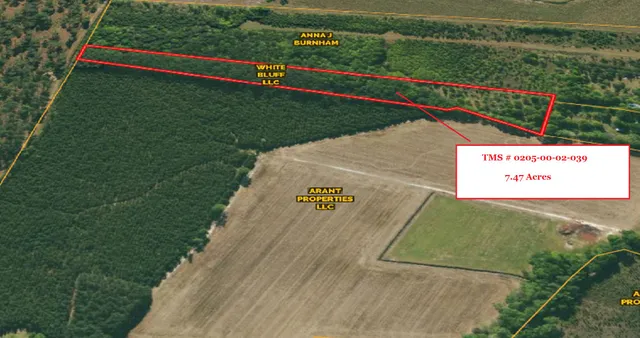 $50,000 | 0 Eddie Lane, Orangeburg, SC 29115