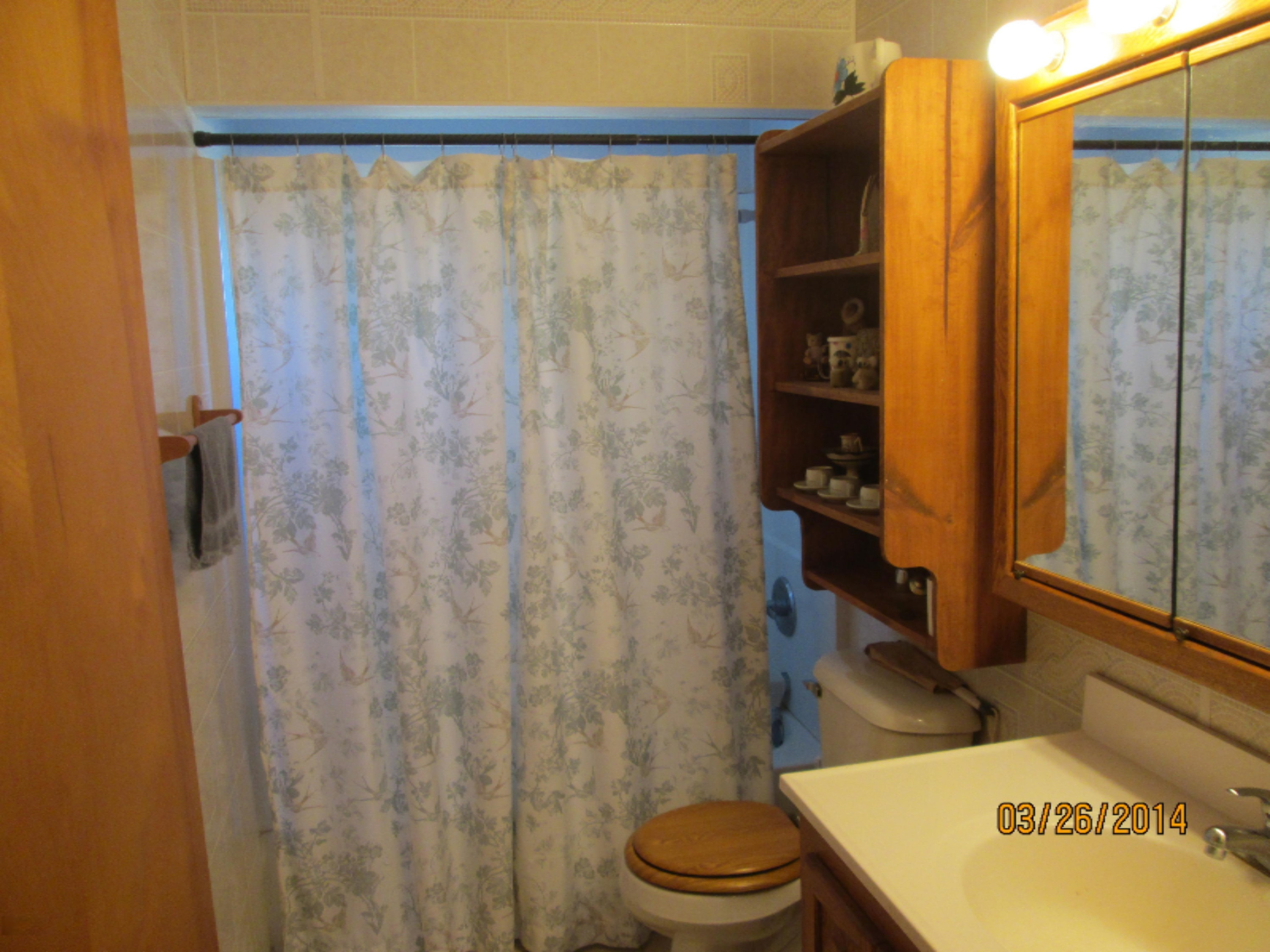6873 Neff Road Northeast Edmore, MI 48829 - Photo 20 of 35 IMG_0882.jpg
