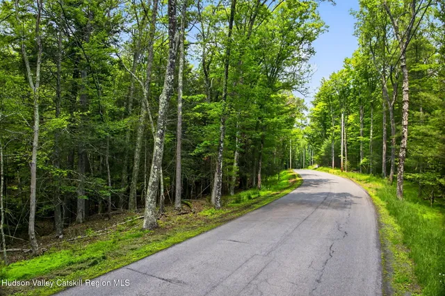 a view of a park with large trees