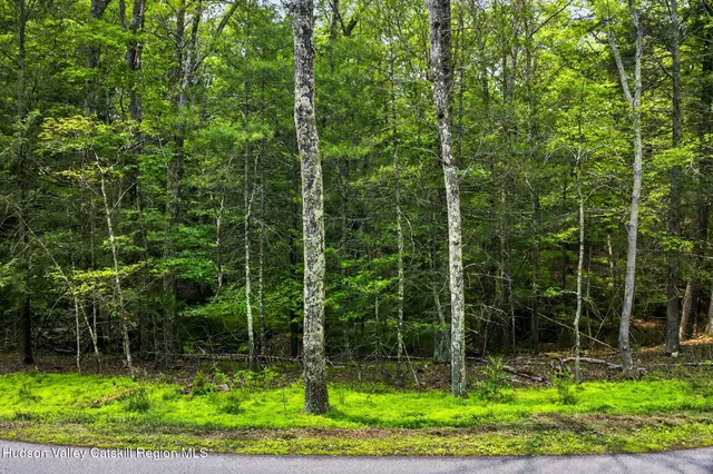 a view of a field with a tree in the background